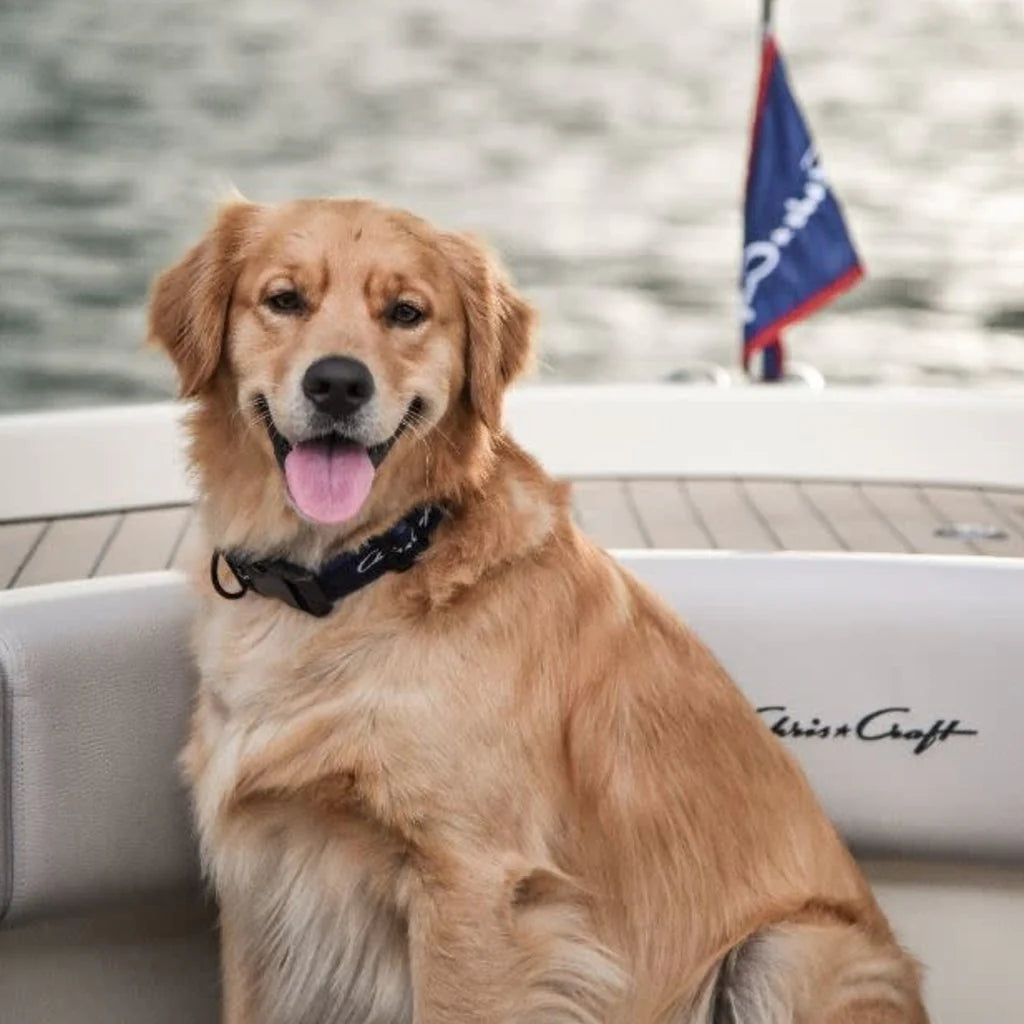 Christ-Craft® Dog Collar